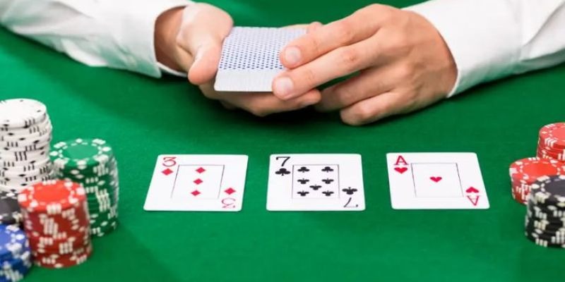 Các phòng cược đặc trưng